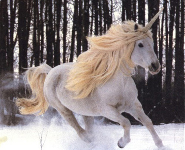 Finding The Unicorn A Wellness Program That Actually Works